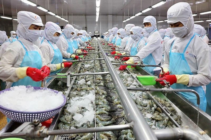 Le Vietnam, 4e fournisseur de crevettes surgelées en Russie